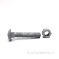 Zoll Stol Round Head Galvanized Carriage Bolt